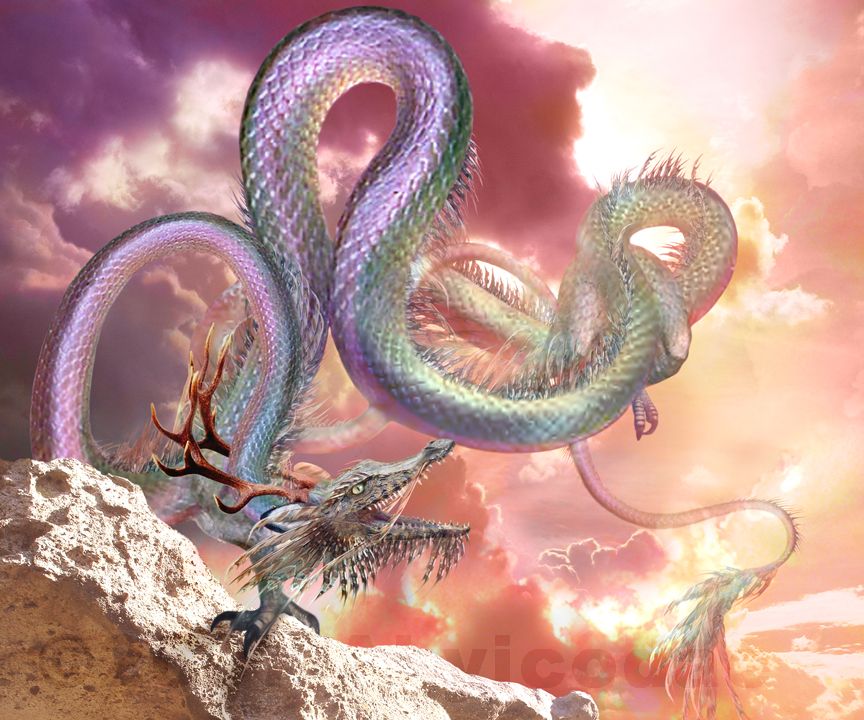 dragon d Asie
